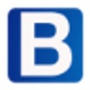 BestInsurer.com logo