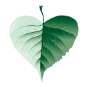 Aspen Healthcare logo