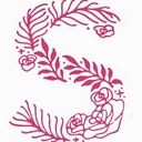 Selinadress logo