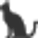 Rocket City Coons logo