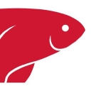 Castle Dawn Aquatics logo