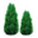 Thuja Gardens logo