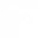 Museum Arts logo