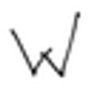 WildFlora Design logo