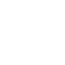 Chiron Capital Partners logo