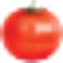 Tijuana’s Produce Inc. logo