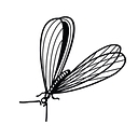 Proven Termite Solutions logo