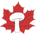 Grow Mushrooms Canada logo