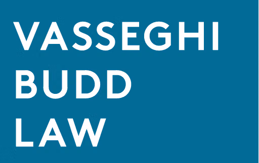 Vasseghi Law Group logo