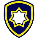 VP Security Services, Inc. logo