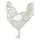 Sage and Stone LLC logo