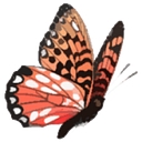 Makoccino logo