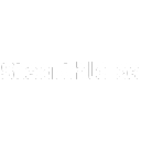 StealthLabs logo