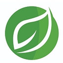 Envision Outdoor Services logo