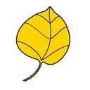 Alpine Fuel Nutrition logo