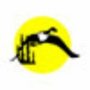 Idaho Screen Print logo