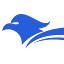 SteelHawk SEO Web Design logo