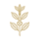Boon Coffee Roasters logo