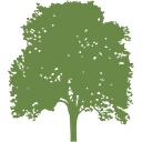 Charlie George Landscaping Inc. logo