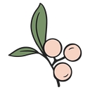 Empower Nutrition logo