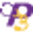 P3 Healthcare Solutions logo