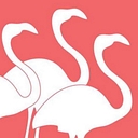 Flamboyance Tours logo