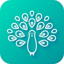 Pretty Pickie logo
