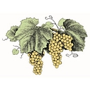 Grgich Hills Estate logo