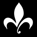 Platinum Plastic Surgery logo