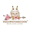 Yellowstonecoon logo