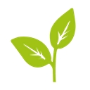 Berlin Seeds logo