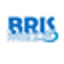 Bris Inflatable logo