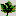 Maple Leaf Natural Health Store logo