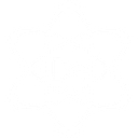 Detroit Exposure logo