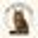 APZ Maine Coons logo