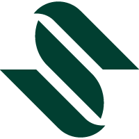syloon.com favicon
