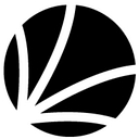 Virtuoso Legal logo