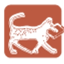 Kimberley Bookshop logo
