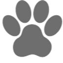 Bella Spaw Mobile Grooming logo