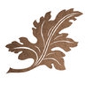 Bernacki Conservation logo