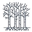 Systemic Solutions Coaching logo