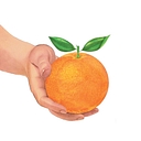 Leon logo