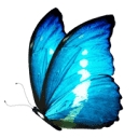 Therapy Health Clinic logo