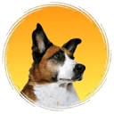 AcutintPRO logo