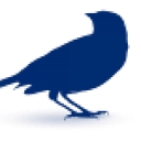 Oriole Textile Co. logo