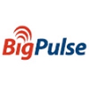 BigPulse logo