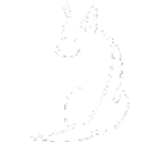 Hawaii Dog Training Services logo