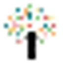 Bloom Therapy Center logo
