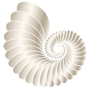 Jonathan Solars Fine Violins logo