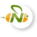 blog.nextbee.com favicon